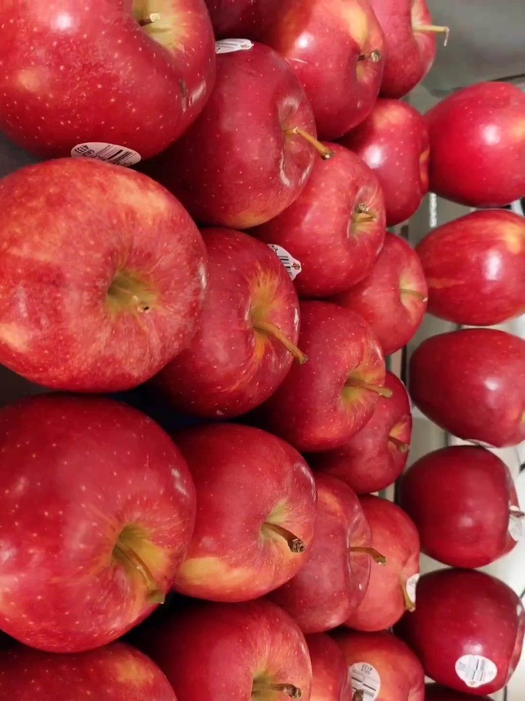 新西兰进口皇后红玫瑰苹果 特级钻石大果4粒装 单果重约180-230g 生鲜
