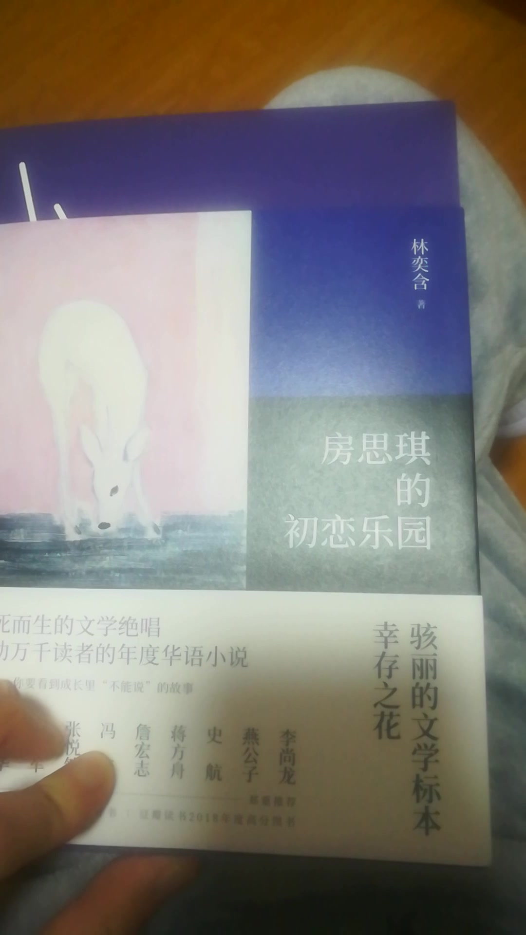 正版出售房思琪的初恋乐园林奕含著文学小说校园小说台湾作家现当代