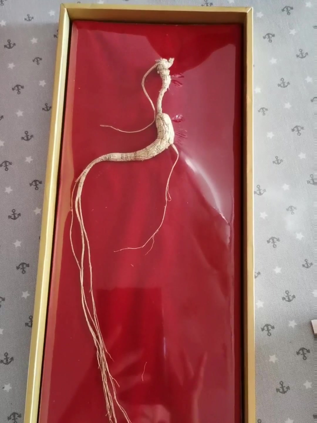 礼盒神象四等野山参人参等级参野山参礼盒15年以上参龄厂家直发一参一