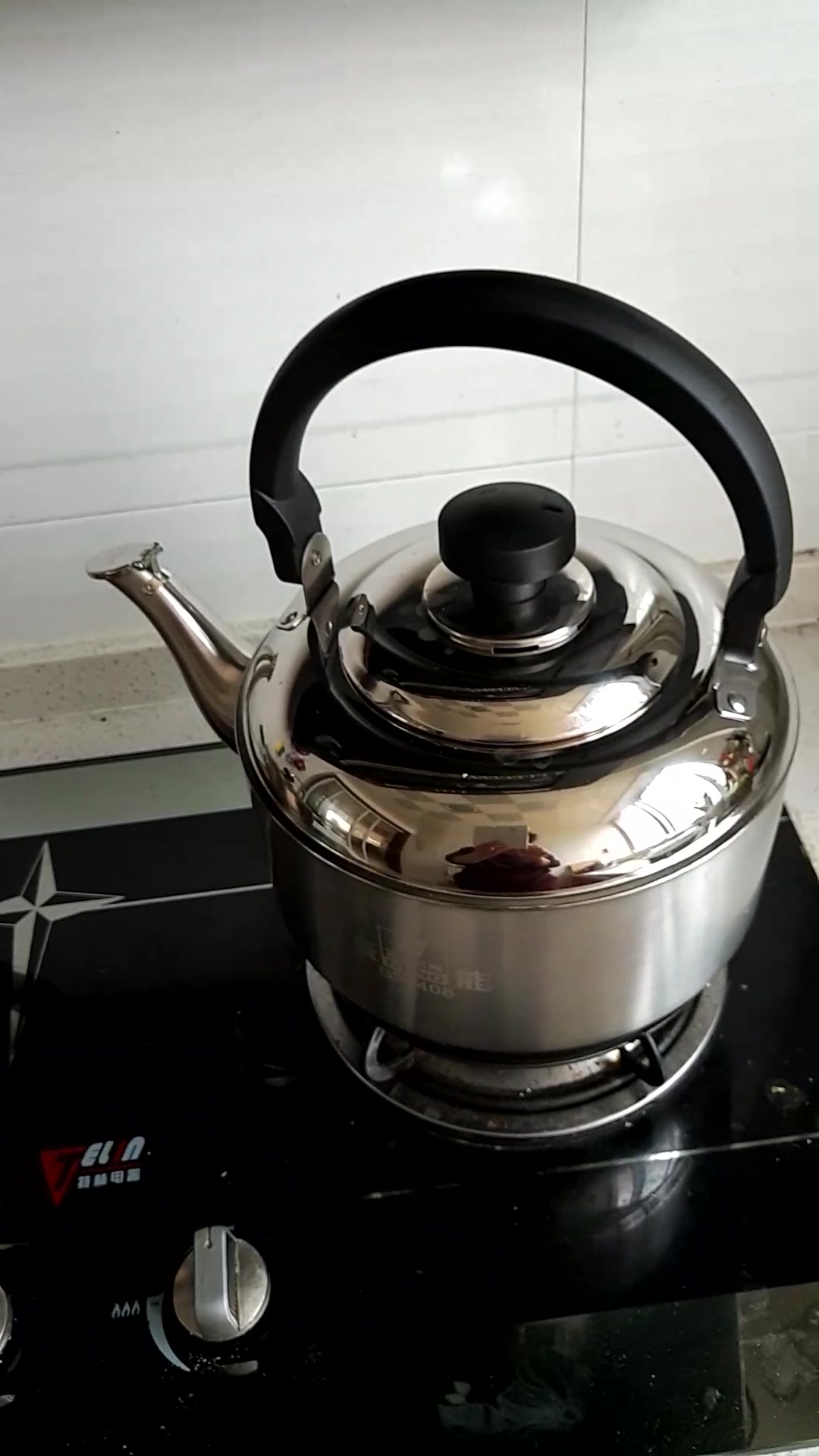 振能zhenneng振能不锈钢鸣音水壶大容量水壶567l提水壶燃气电磁炉通用