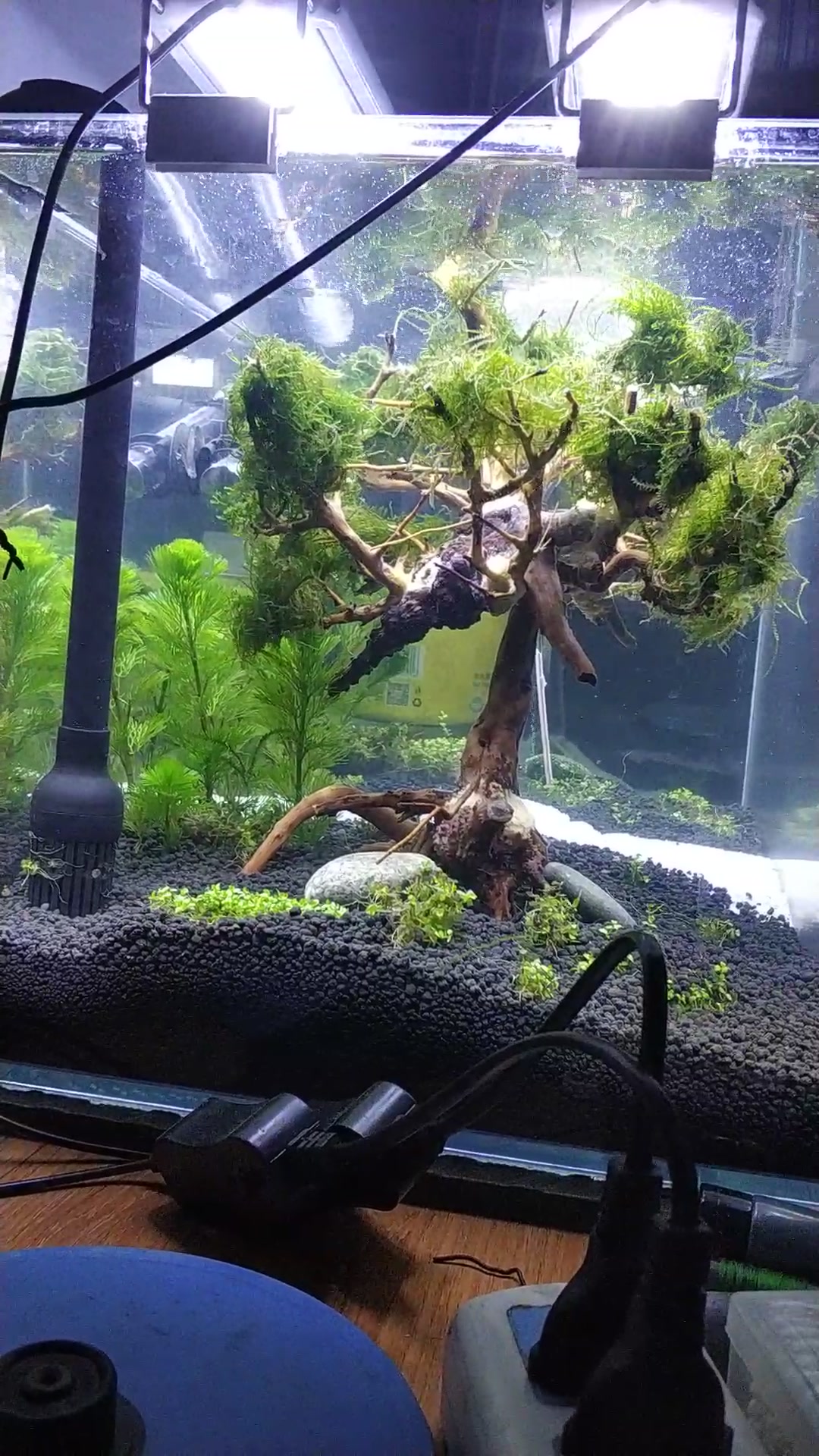 尼特利兰保约9斤装鱼缸造景水草泥水族箱造景泥水草种植土亚马逊免