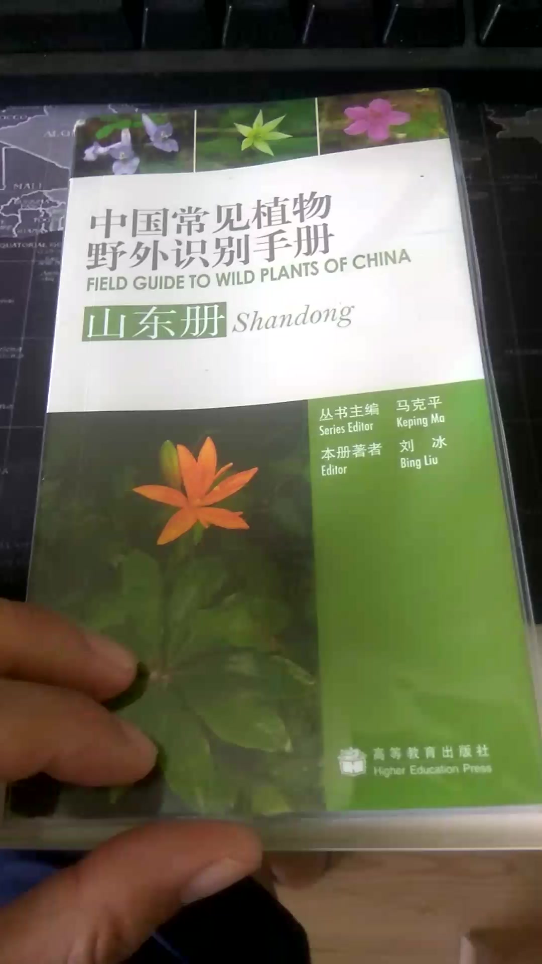 中国植物野外手册图片