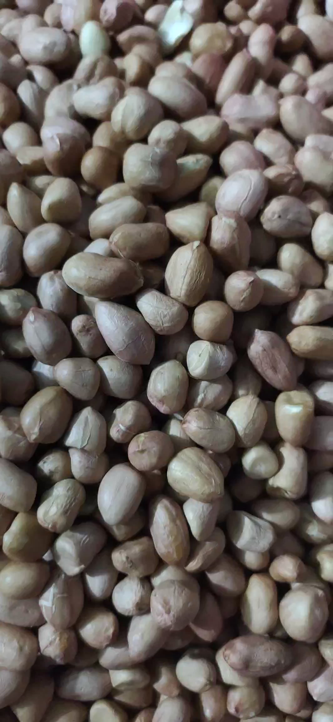 一禾谷香 东北白花生米2.