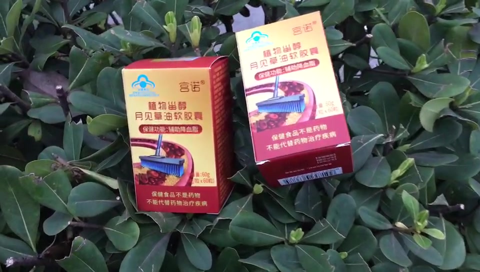 月見草油膠囊黃花草油酸搭配輔助降血脂黃花磷酸納豆激酶納曲複方通甘