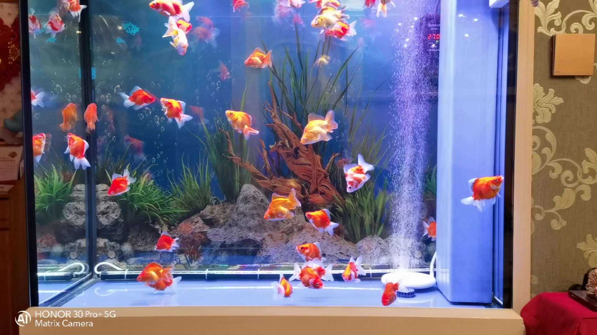 哈宝哈贝二氧化氯泡腾片水族箱鱼用消毒杀菌鱼缸鱼池鱼塘养殖消毒片杀菌剂1瓶装 100片 瓶 图片价格品牌报价 京东 哈宝哈贝二氧化氯泡腾片水族箱鱼用消毒杀菌鱼缸鱼池鱼塘养殖消毒片杀菌剂1瓶装 100片 瓶 图片价格品牌报价 京东