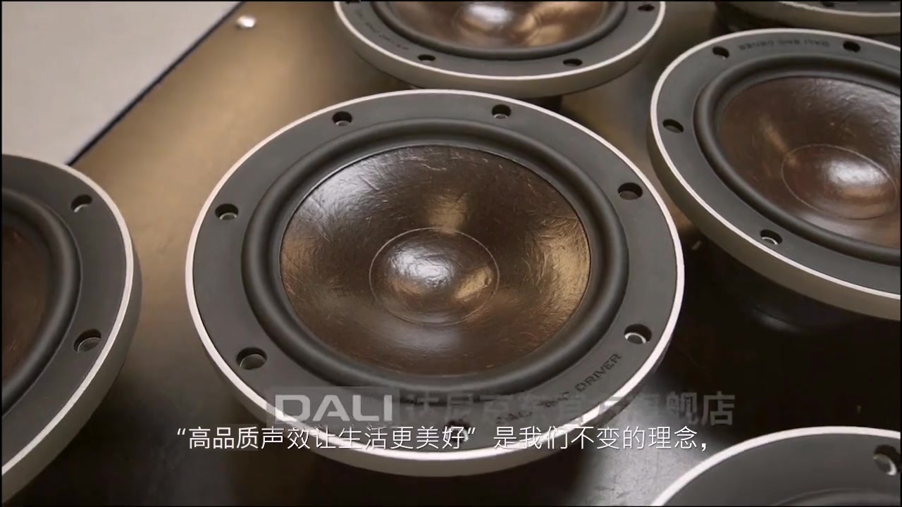 达尼dalirubicon8达尼乐爵8号高保真hifi音箱家用无源落地音响20胡桃