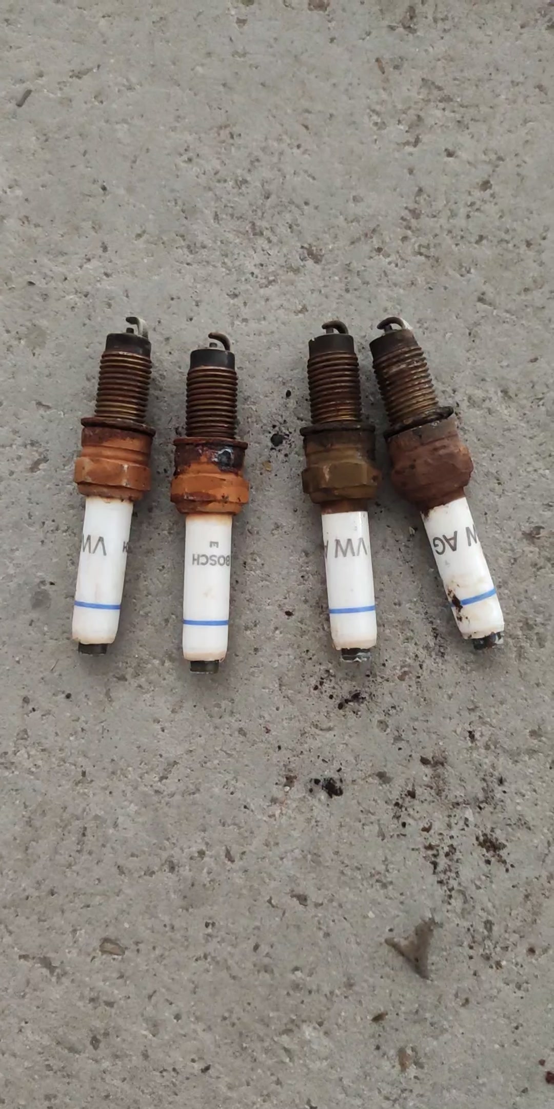 ngk日本进口双铂金火花塞汽车火嘴93231四支ea211发动机适配大众蔚领