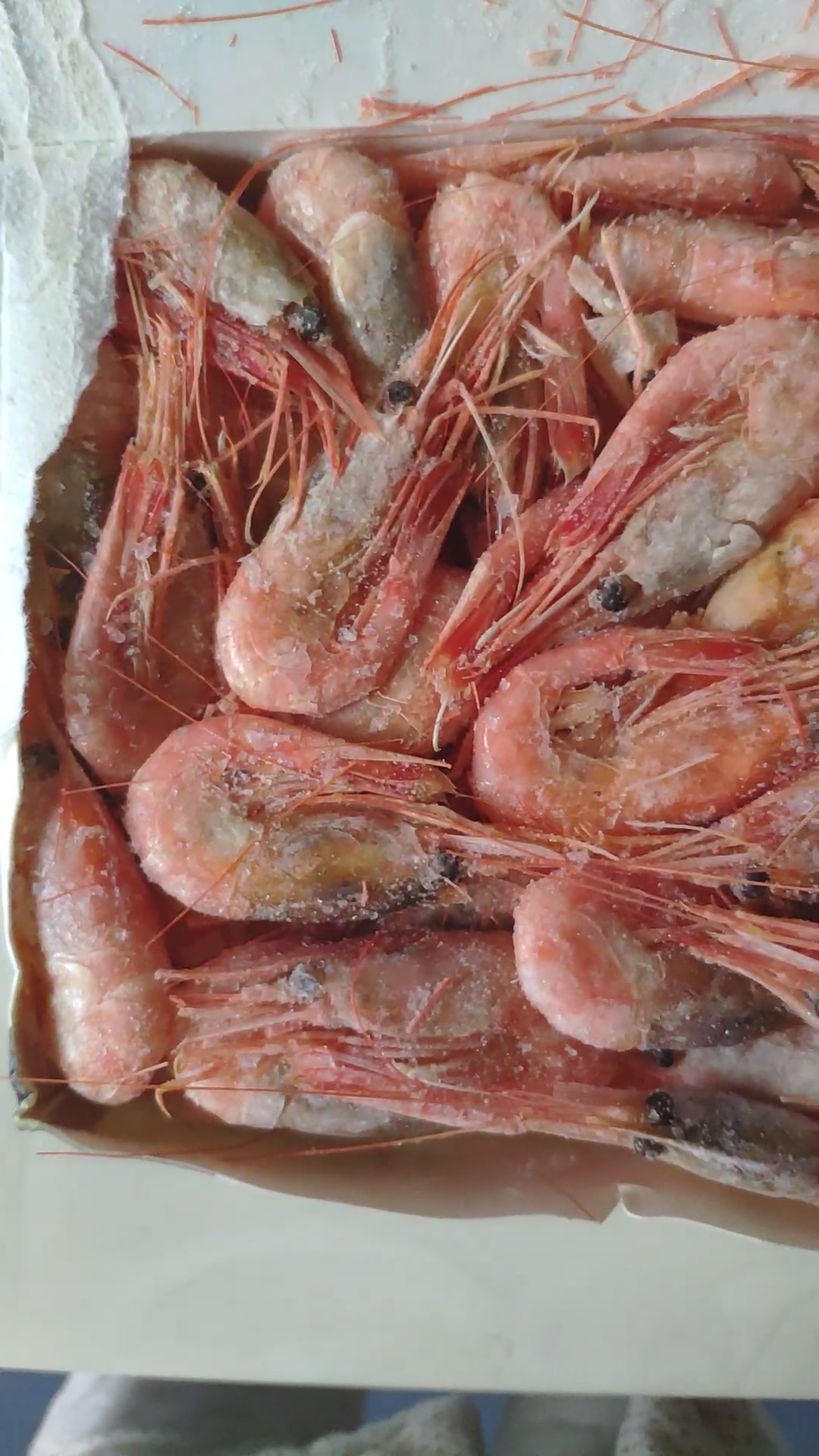 【京东生鲜皇家格陵兰北极甜虾1kg】京东海外直采 熟冻北极甜虾 1kg