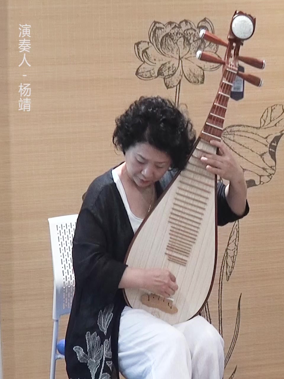 星海 杨靖监制款琵琶乐器奥氏黄檀材质酸枝红木演奏琵琶琴8974jz