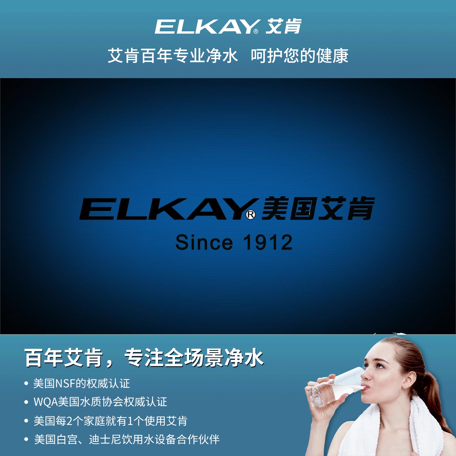 艾肯(elkay)美国家用直饮厨房净水器自来水过滤器滤水器台下式滤水器
