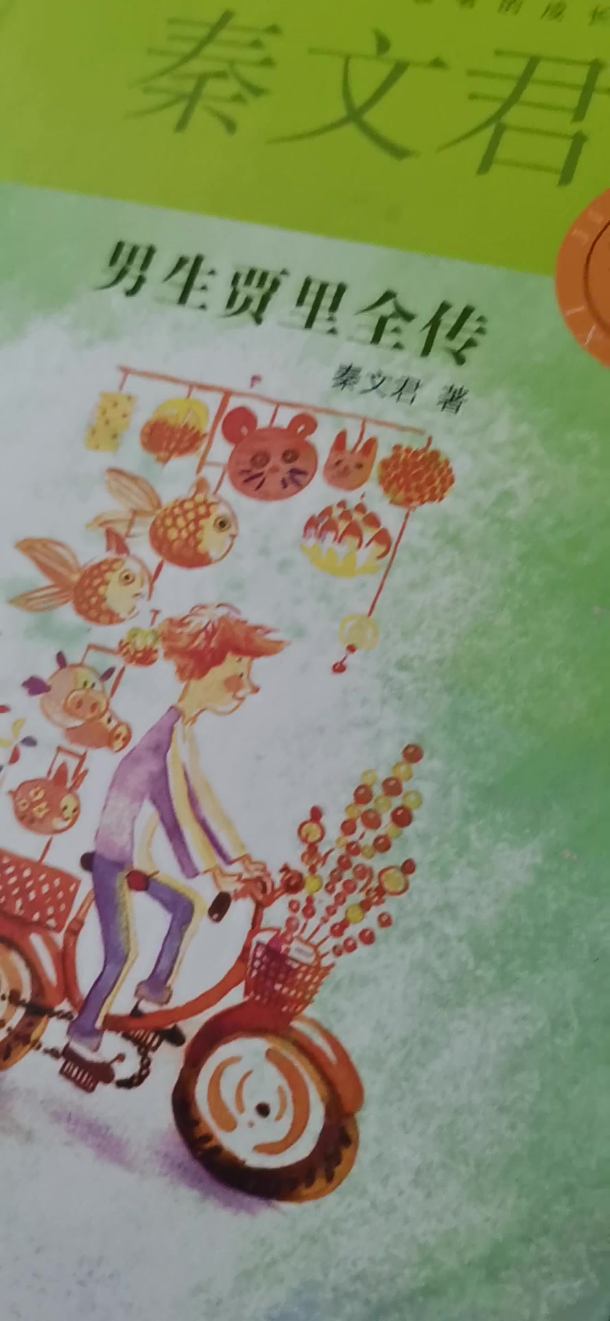 贾里贾梅大系贾梅日记