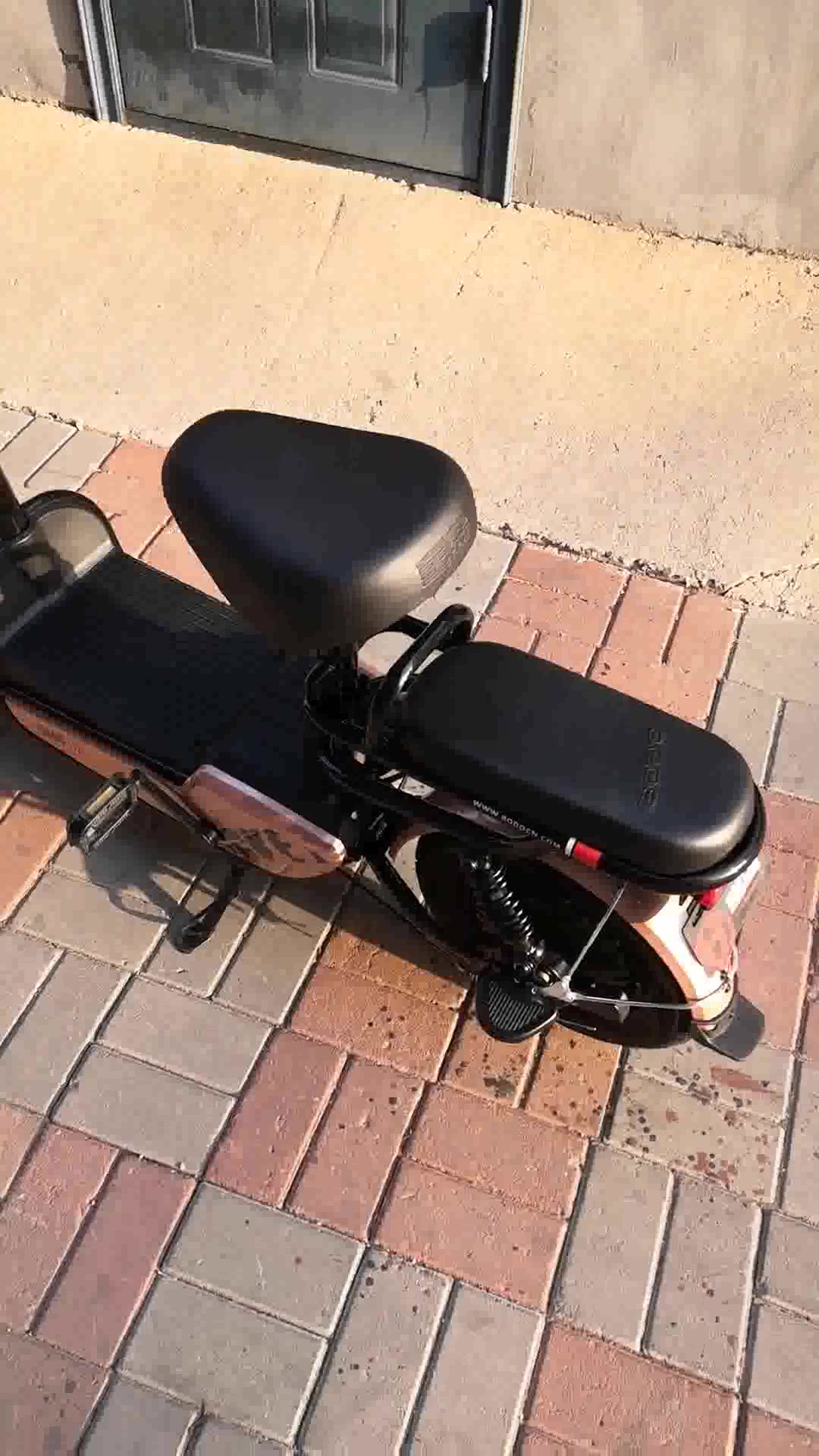 宝岛电动车新国标成人电瓶车48v男女老年两轮代步电动自行车助力踏板