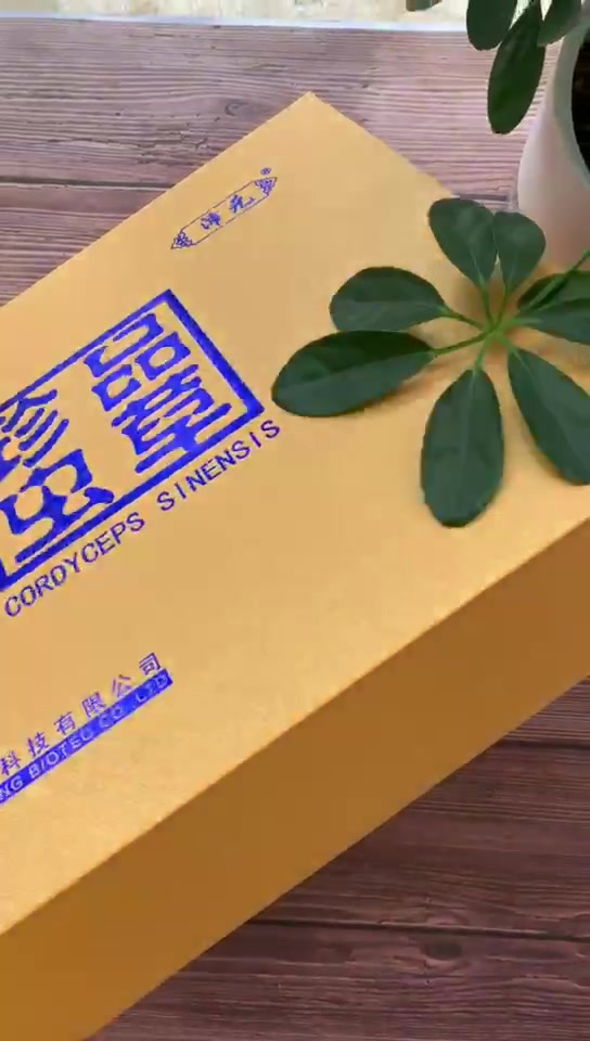 沛元蛹虫草素含片礼盒野生分菌种虫草制品虫草王菌丝体冬虫夏草发酵菌