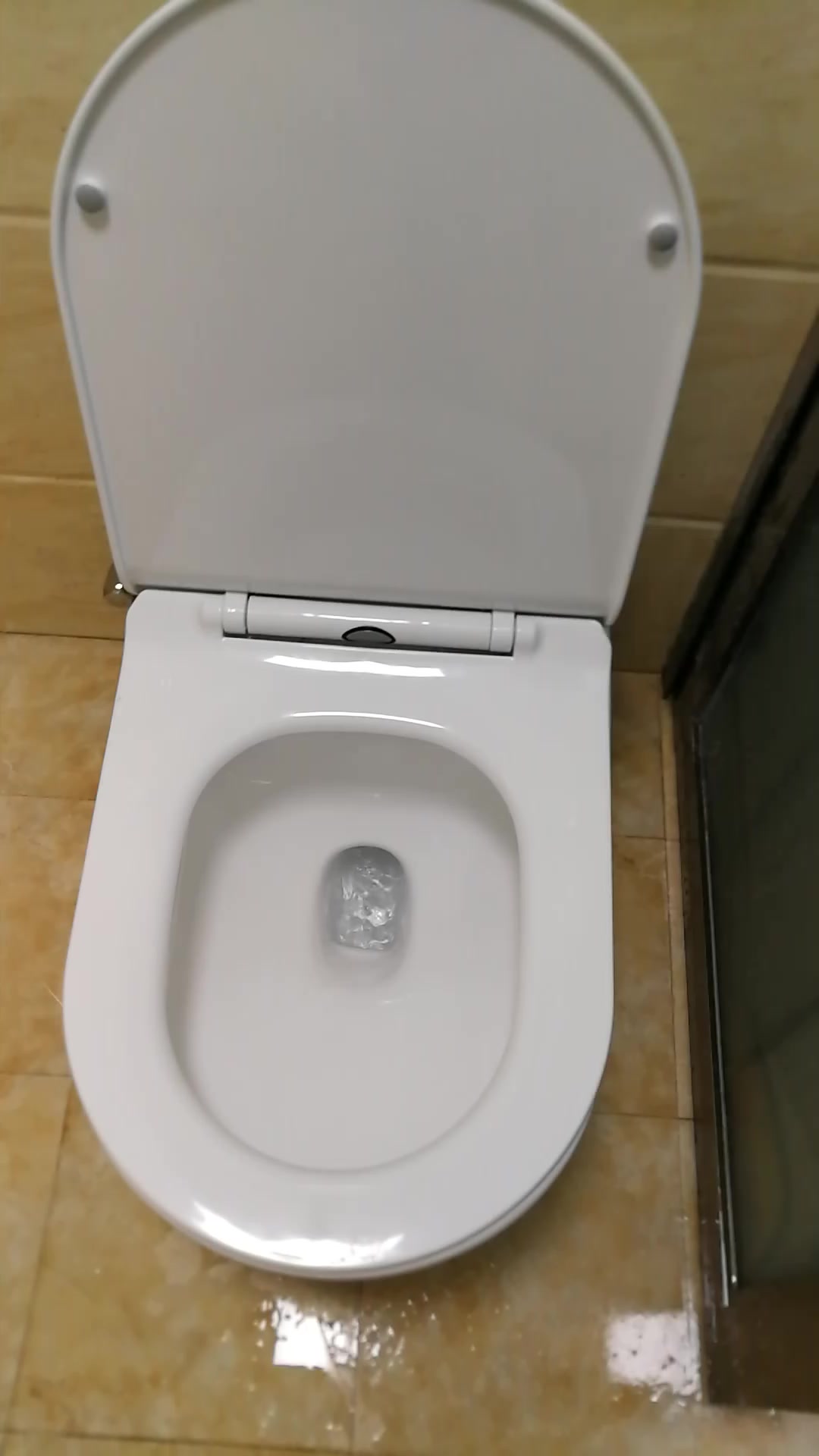 德国博致(bozo) 卫浴马桶大冲力大口径喷射虹吸式坐便器静音防臭座