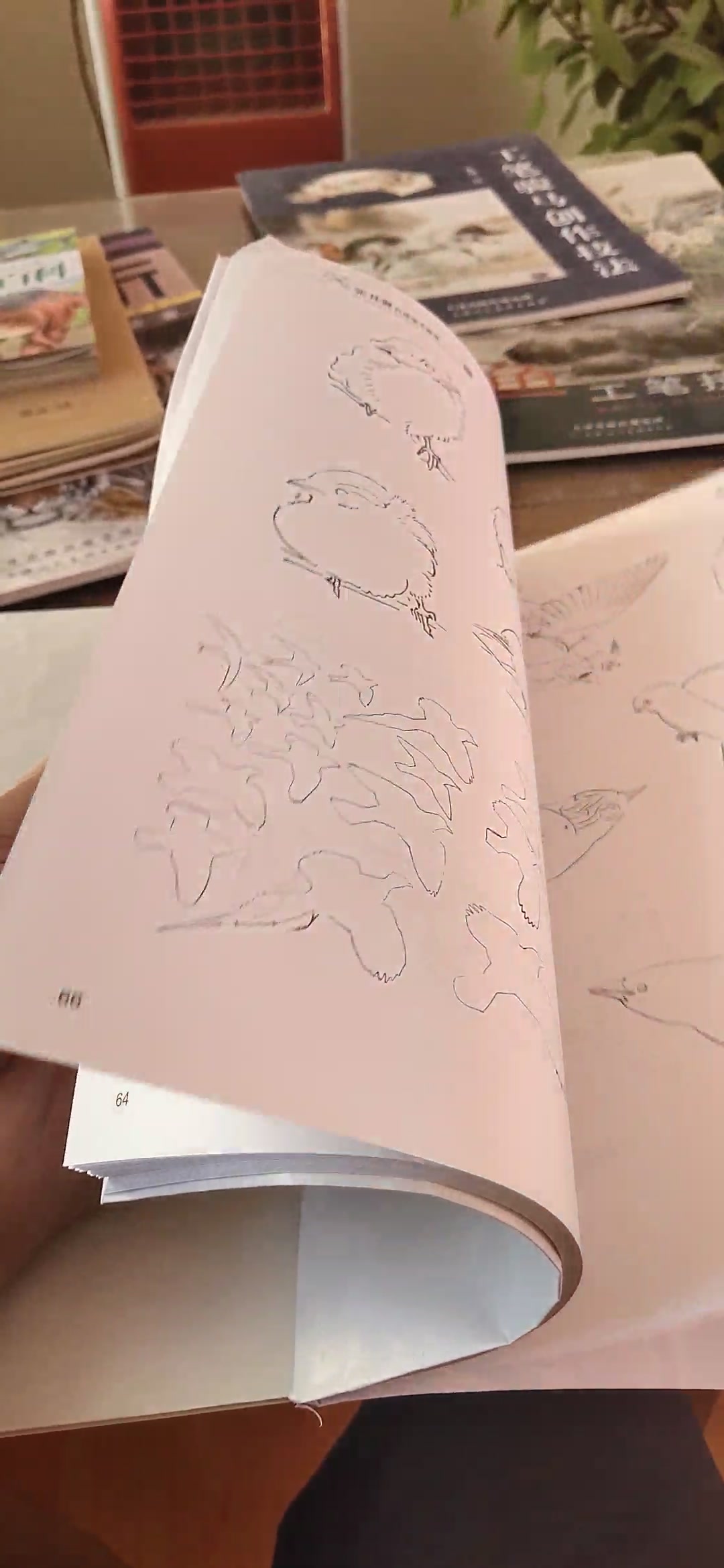 张其翼白描翎毛画谱