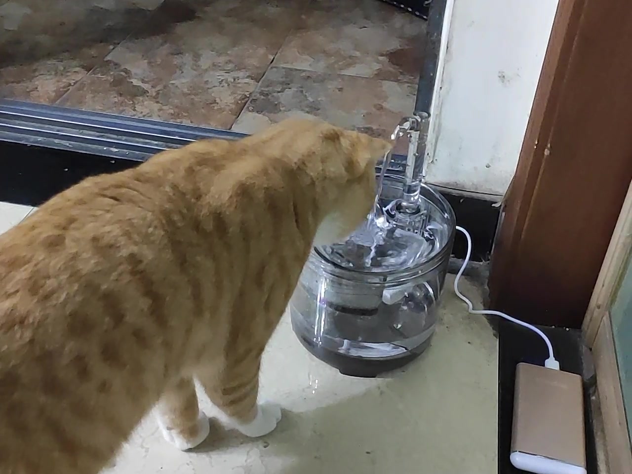 Npet宠物饮水器自动循环猫咪饮水机不插电猫碗自动喂水器流动喝水神器食具水具感应智能饮水机不插电感应版 感应 电池 图片价格品牌报价 京东