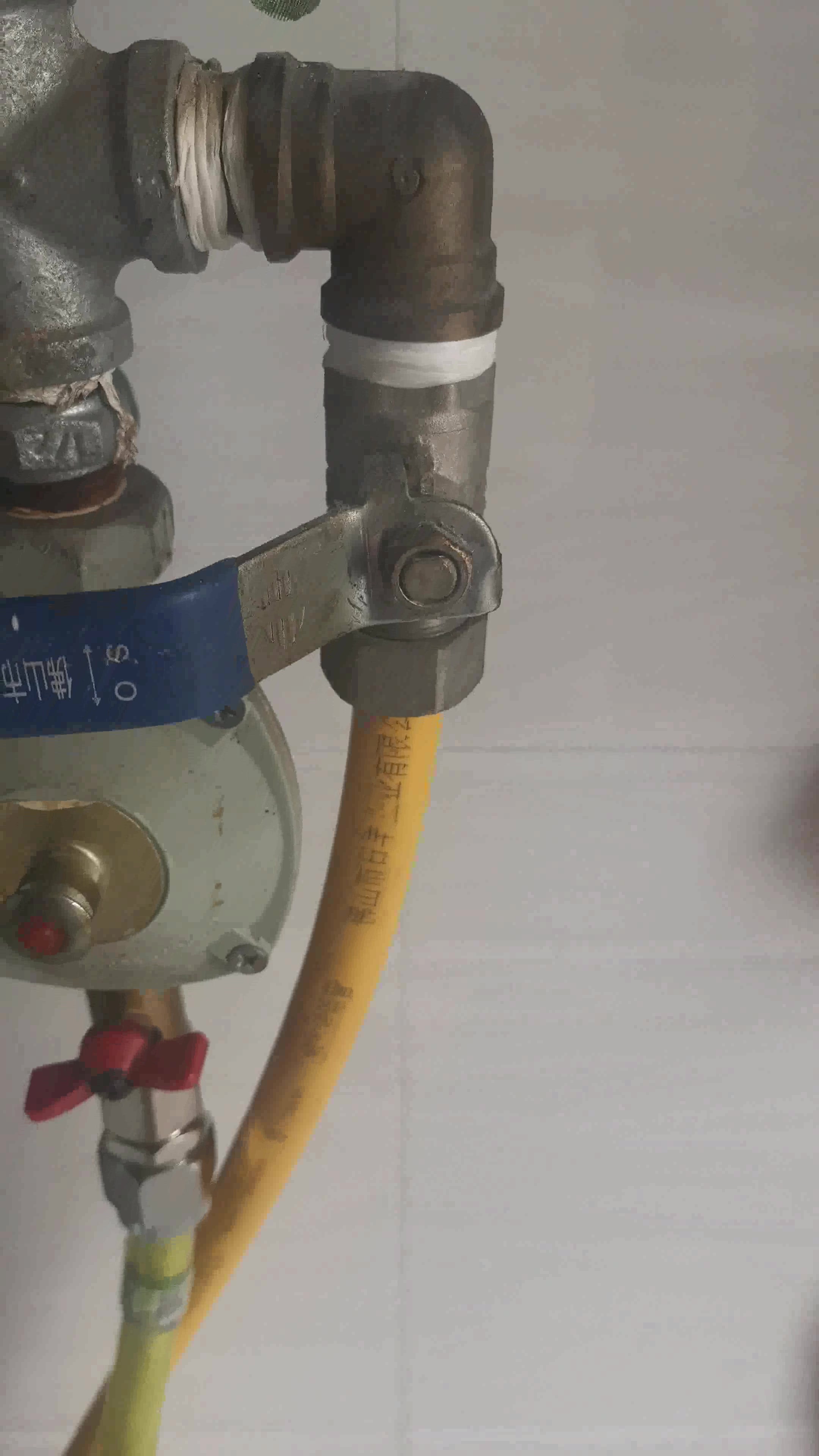 turlee特立燃气管4分接口304不锈钢天然气管金属波纹管液化气管煤气